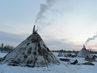 Кем были предки коренных американцев? Ученые говорят, что это исчезнувший народ в Сибири - «Наука»