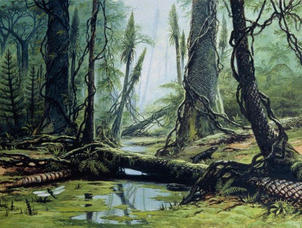 Донецкие археологи обнаружили корень растения-гиганта возрастом около 300 млн лет (ФОТО)