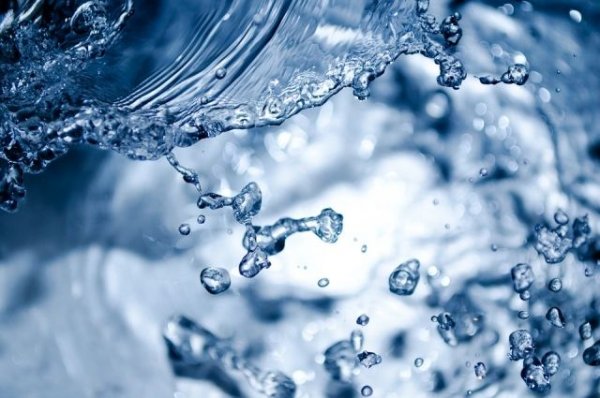 Эксперты Роскачества рассказали, сколько воды нужно организму человека - «Политика»