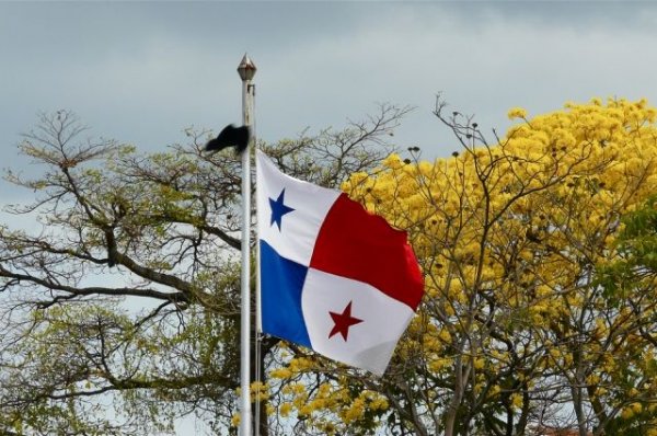 ФНС собирается исключить Панаму и Сан-Марино из числа офшоров - «Происшествия»