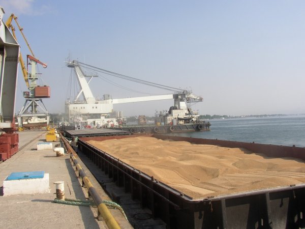 Из порта Ейска отгружены на экспорт первые партии зерна нового урожая - «Общество»