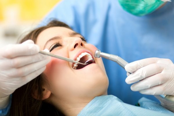 К стоматологам записались почти 900 пациентов