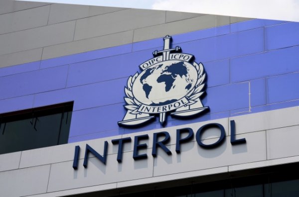 Косово утверждает, что Интерпол готов принять его в свои ряды - «Новости Дня»
