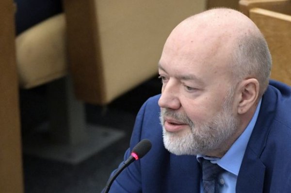 Крашенинников считает пиар-акцией законопроект о послаблениях бизнесу по УК - «Политика»