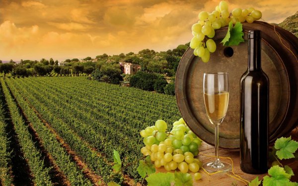 Минсельхоз РФ предложил помочь местным аграрным брендам по образцу господдержки винодели - «Культура»