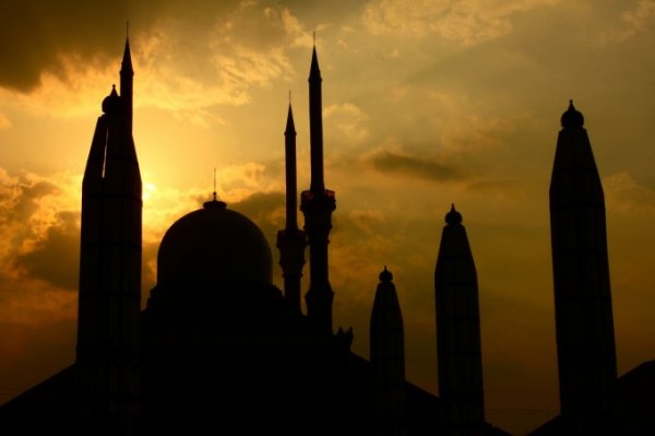 Мусульмане просят президента Татарстана помочь построить соборную мечеть в Екатеринбурге