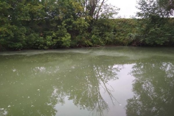 На Украине грузовик с химикатами опрокинулся в реку - «Политика»