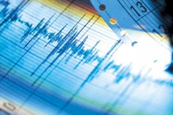 На западе Аргентины произошло землетрясение магнитудой 5,5 - «Политика»