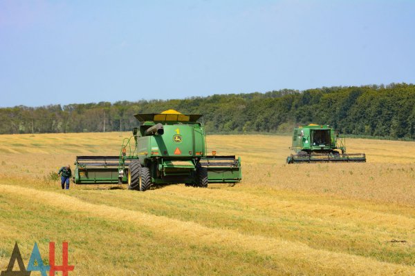 Первый обкос пшеничного поля под Старобешево открыл уборочную кампанию в ДНР