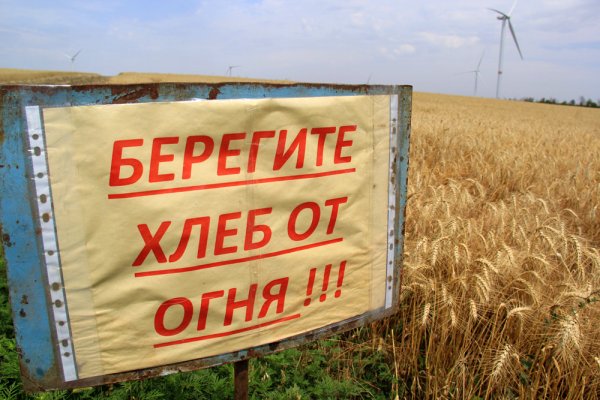 Поле пшеницы сгорело на юге ДНР из-за обстрела украинских силовиков – МЧС