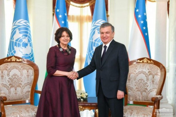 Президент Узбекистана и замгенсека ООН обсудили безопасность и Арал - «Новости Дня»