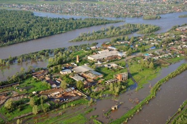 Пять человек стали жертвами паводка в Иркутской области - «Политика»