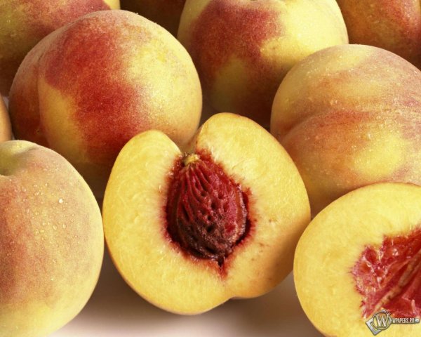 Россельхознадзор обеспокоен ростом поставок марокканских персиков и нектаринов - «Новости дня»