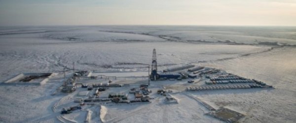Shell и Газпром создают редприятие по разработке нефтяных месторождений в РФ - «Здоровье»