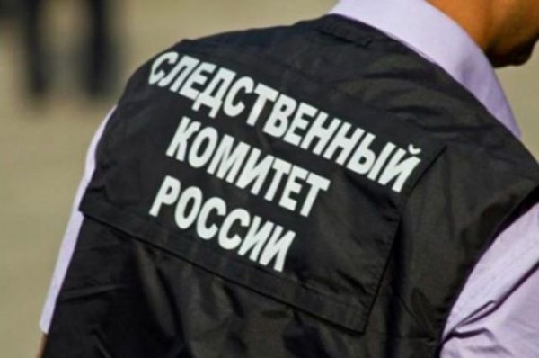 СК РФ возбудил уголовное дело об убийстве директора ТЦ в Подмосковье - «Политика»