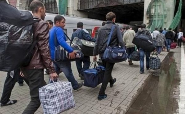 Статистика: из Литвы уезжают литовцы и приезжают украинцы - «Новости Дня»