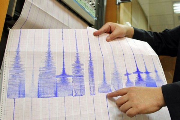 У берегов Камчатки произошло землетрясение магнитудой 6,7 - «Политика»