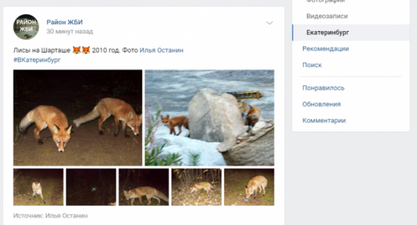 У жителей Екатеринбурга появилась специальная лента «ВКонтакте»