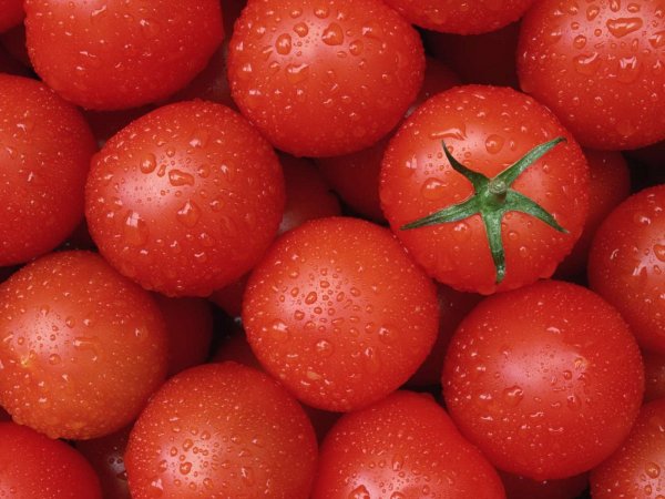 Узбекские помидоры не "узбекские" - «Здоровье»