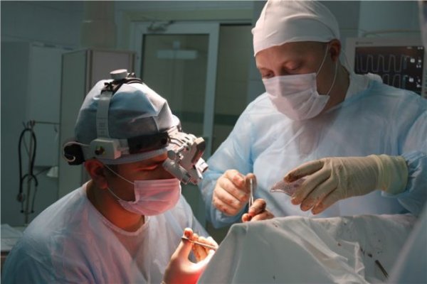 В Хабаровске врачи извлекли из головы пациента гвоздь - «Политика»
