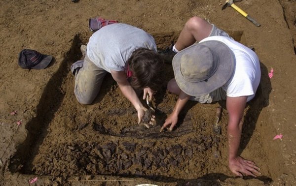 В Китае нашли следы динозавра, которым около 100 миллионов лет