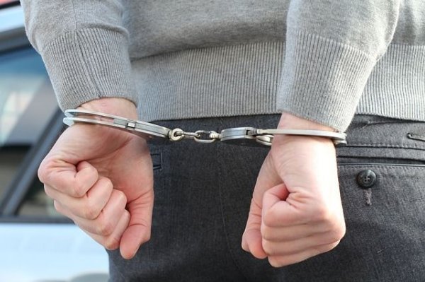 В Нижнем Новгороде задержан второй соучастник похищения 6-летнего ребенка - «Происшествия»