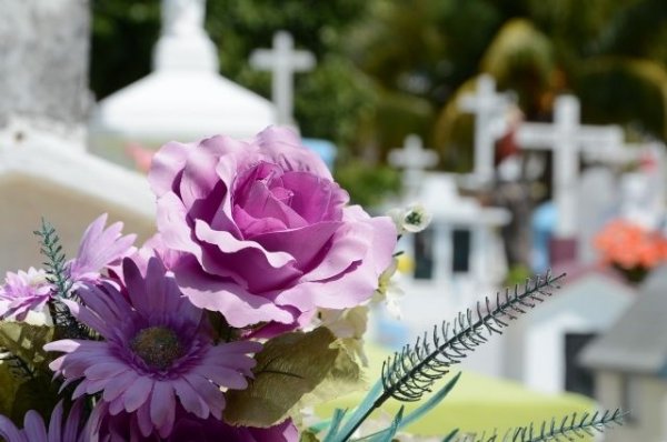 В Приморье группа подростков повредила на кладбище более полусотни могил - «Политика»