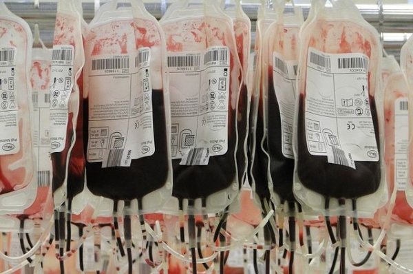 В России ужесточат контроль качества донорской крови — Известия - «Происшествия»