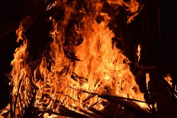 В Воронежской области загорелся полигон по утилизации боеприпасов - «Происшествия»