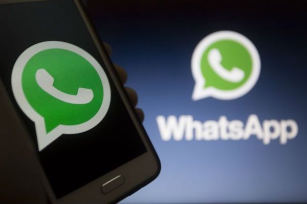 WhatsApp будет судиться с нарушающими правила пользователями - «Происшествия»