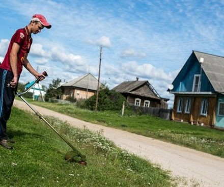 Россиян могут лишить земельных участков за мусор и сорняки - «Авто новости»