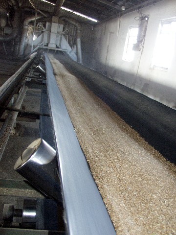 В Ростовской области сократились запасы зерна - «Политика»