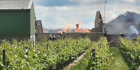 Во Франции сгорели 250 тысяч литров коньяка - «Происшествия»