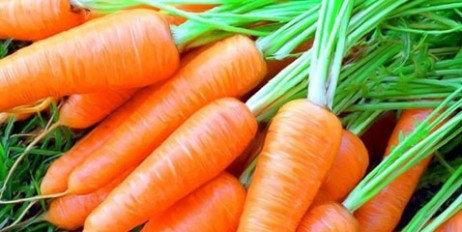 Врачи объяснили, почему морковь полезна для мужчин - «Спорт»