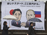 Hokkaido Shimbun (Япония): встреча глав России и Японии. Мнение экспертов - «Политика»