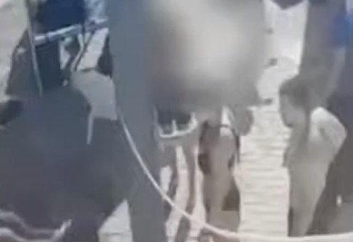 Израиль: Групповая драка в бассейне, жестокое избиение спасателя, есть раненые - «Происшествия»