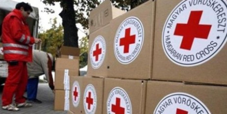 Красный Крест направил в ОРДЛО более 150 тонн гуманитарной помощи - «Общество»