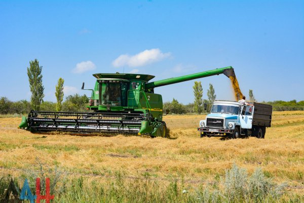 Аграрии ДНР приблизились к «экватору» в уборке ранних зерновых и зернобобовых культур – Минагропром