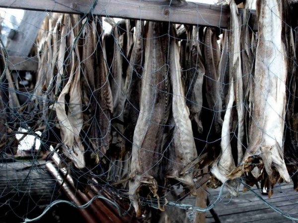 Архангельская рыбопродукция экспортирована в США, Китай и Польшу - «Экономика»