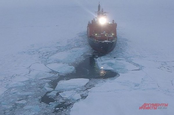 Береговая охрана США запросила 6 ледоколов для конкуренции с РФ в Арктике - «Происшествия»