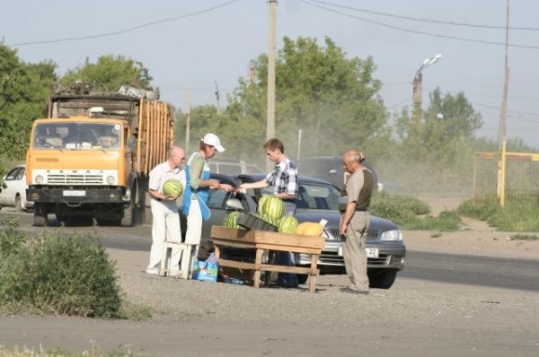 Депутат Госдумы предложил создать знак «Придорожная торговля» - «Политика»