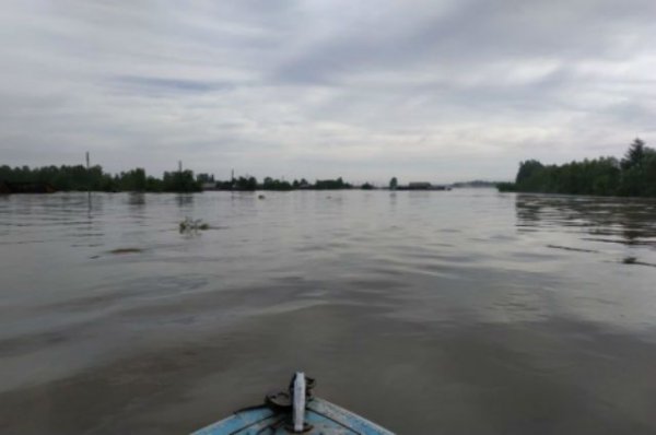 Глава МЧС РФ вылетел в пострадавшие от паводка районы Приамурья - «Политика»