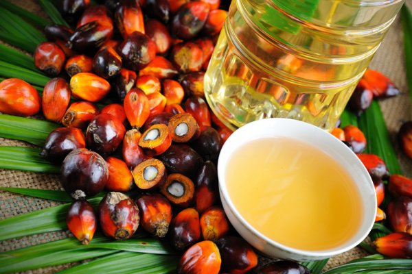 Госдума повысила НДС на пальмовое масло до 20 процентов - «Авто новости»