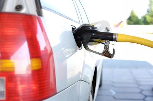 Госдума в первом чтении одобрила закон о сдерживании цен на топливо - «Происшествия»