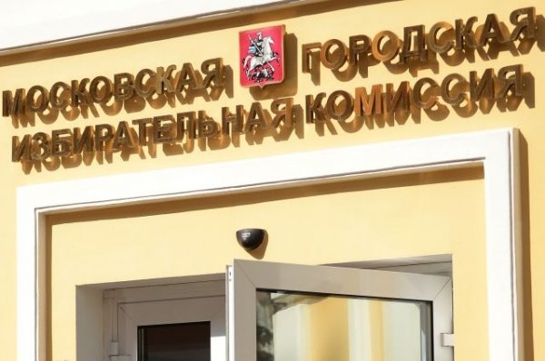 Мосгоризбирком выявил почти 15% фальшивых подписей у Соболь - «Происшествия»