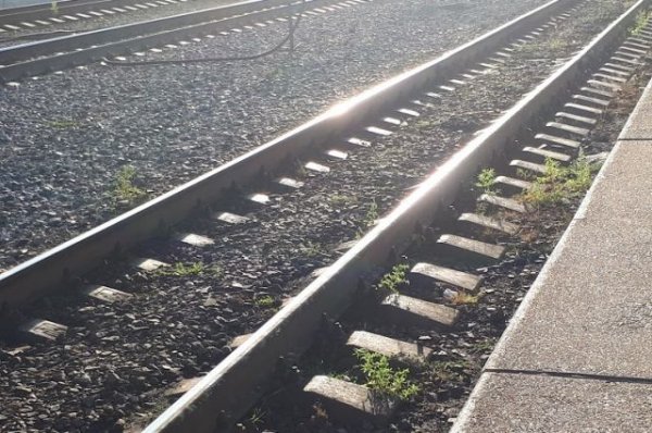 Пассажир напал на начальника поезда в Амурской области - «Политика»