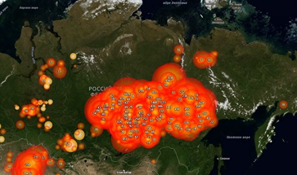 Площадь лесных пожаров в России сопоставима с территорией Бельгии или Крыма - «Политика»