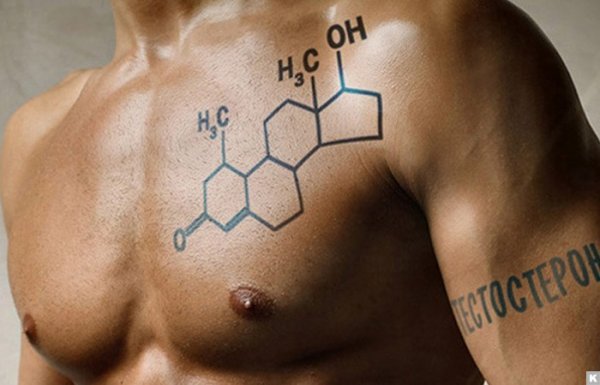 Продукты, повышающие уровень тестостерона у мужчин - «Технологии»
