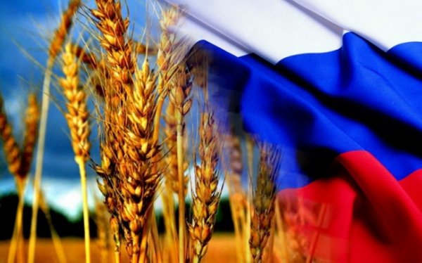 Россельхознадзор хочет собрать экспортеров зерна в единый реестр - «Новости Дня»