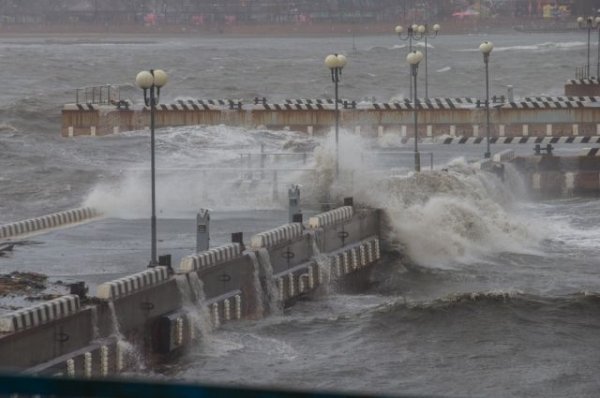 Штормовое предупреждение объявлено в Приморье из-за тайфуна «Данас» - «Политика»